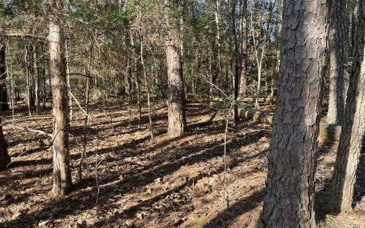 photo for a land for sale property for 45007-69060-Bracey-Virginia
