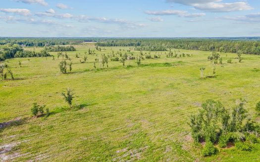 photo for a land for sale property for 09090-22773-Brooker-Florida