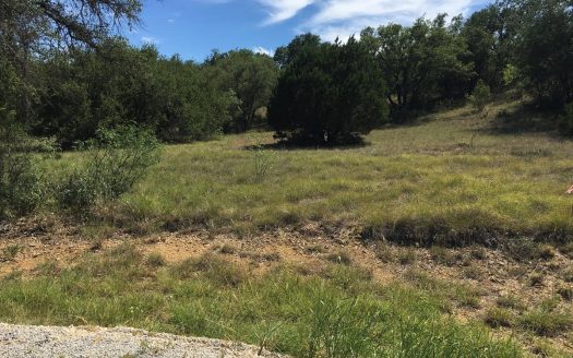 photo for a land for sale property for 42165-53780-Brownwood-Texas