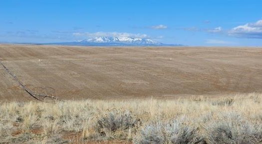 photo for a land for sale property for 05099-11247-Cahone-Colorado