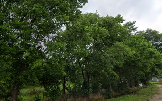 photo for a land for sale property for 42273-53266-Cameron-Texas