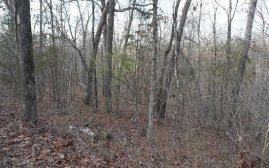 photo for a land for sale property for 03065-30730-Cherokee Village-Arkansas