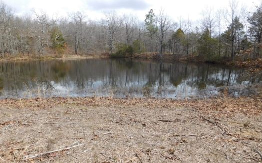 photo for a land for sale property for 03045-43350-Compton-Arkansas