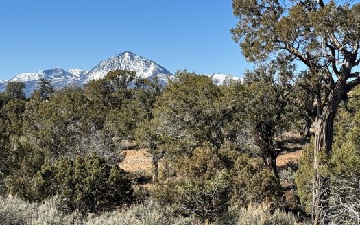 photo for a land for sale property for 05099-11194-Cortez-Colorado