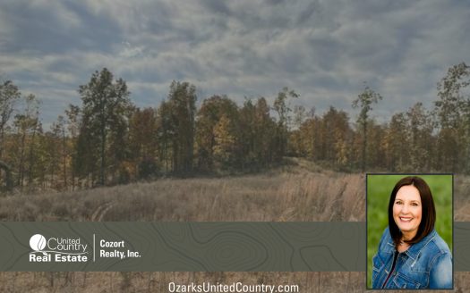 photo for a land for sale property for 24078-87600-Couch-Missouri