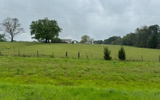photo for a land for sale property for 42251-09032-Daingerfield-Texas