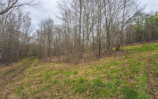 photo for a land for sale property for 45038-00914-Danville-Virginia