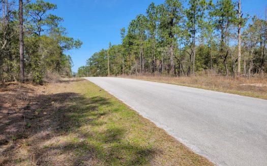 photo for a land for sale property for 09090-90194-Dunnellon-Florida