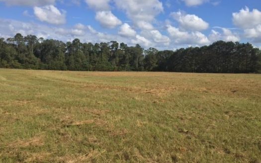 photo for a land for sale property for 23042-37902-Fernwood-Mississippi