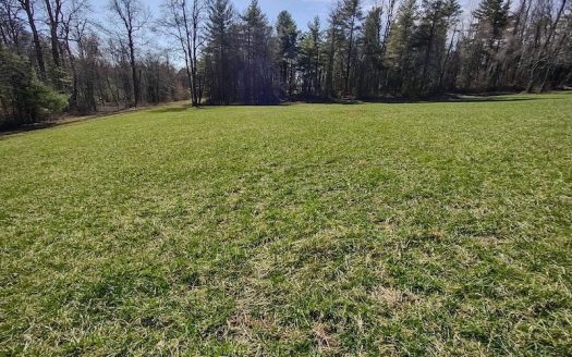 photo for a land for sale property for 45038-95819-Floyd-Virginia