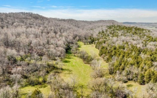 photo for a land for sale property for 41103-19763-Frankewing-Tennessee