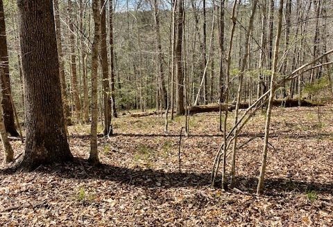 photo for a land for sale property for 01024-24016-Greenville-Alabama
