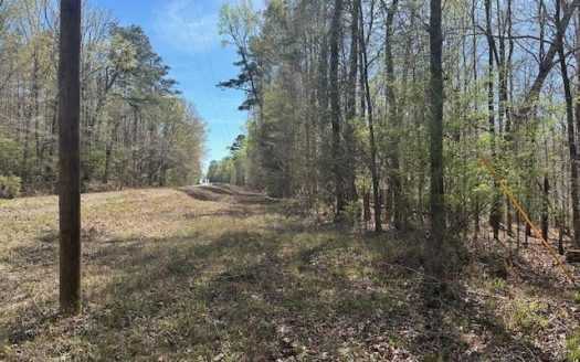 photo for a land for sale property for 01024-24018-Greenville-Alabama