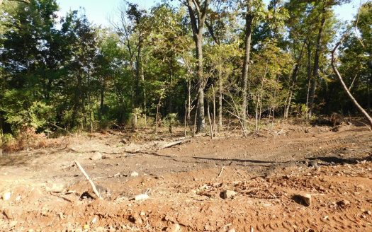 photo for a land for sale property for 03045-39680-Harrison-Arkansas