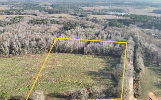 photo for a land for sale property for 01030-85550-Hartford-Alabama