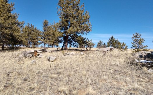 photo for a land for sale property for 05074-42395-Hartsel-Colorado