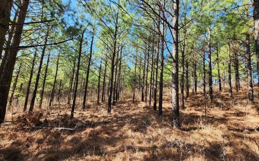 photo for a land for sale property for 35018-10147-Heavener-Oklahoma