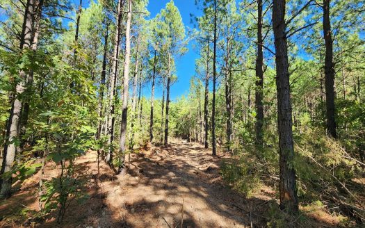 photo for a land for sale property for 35018-10130-Heavener-Oklahoma