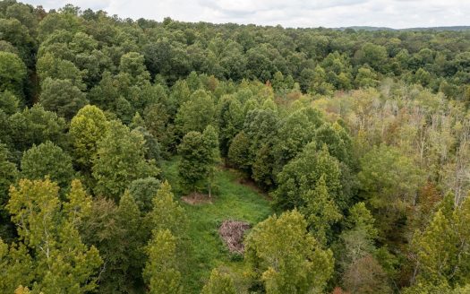 photo for a land for sale property for 41093-26274-Hohenwald-Tennessee