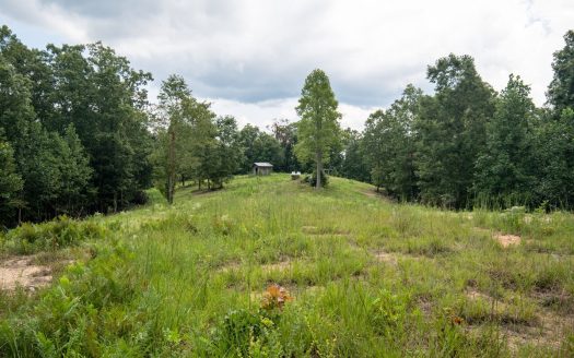 photo for a land for sale property for 41093-26283-Hohenwald-Tennessee