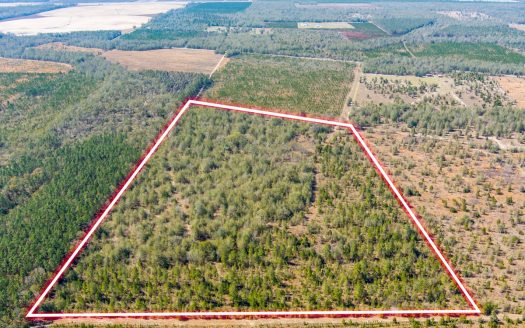 photo for a land for sale property for 09090-22588-Jasper-Florida