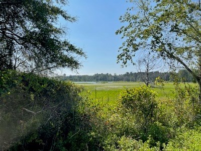 photo for a land for sale property for 09029-20260-Lake City-Florida