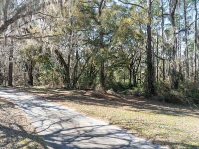 photo for a land for sale property for 09029-22576-Lake City-Florida