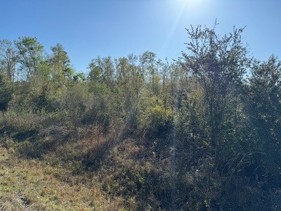 photo for a land for sale property for 09029-22736-Lake City-Florida