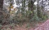 photo for a land for sale property for 09090-18154-Live Oak-Florida
