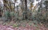 photo for a land for sale property for 09090-18155-Live Oak-Florida