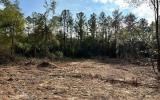 photo for a land for sale property for 09090-18157-Live Oak-Florida
