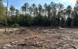 photo for a land for sale property for 09090-18158-Live Oak-Florida