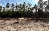 photo for a land for sale property for 09090-18159-Live Oak-Florida