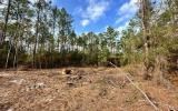 photo for a land for sale property for 09090-18160-Live Oak-Florida