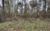 photo for a land for sale property for 09090-18162-Live Oak-Florida