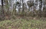 photo for a land for sale property for 09090-18166-Live Oak-Florida