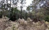 photo for a land for sale property for 09090-18170-Live Oak-Florida