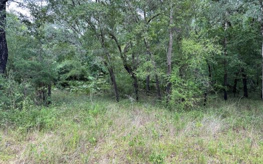 photo for a land for sale property for 09090-22707-Live Oak-Florida