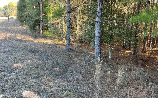 photo for a land for sale property for 01024-24012-Luverne-Alabama