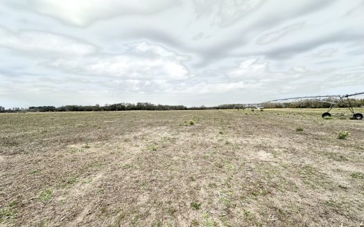 photo for a land for sale property for 09090-22573-Mayo-Florida