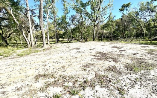 photo for a land for sale property for 09090-22878-Mayo-Florida