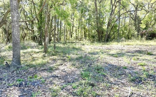 photo for a land for sale property for 09090-22879-Mayo-Florida