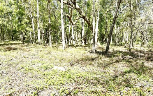 photo for a land for sale property for 09090-22883-Mayo-Florida