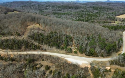 photo for a land for sale property for 03061-61130-Melbourne-Arkansas