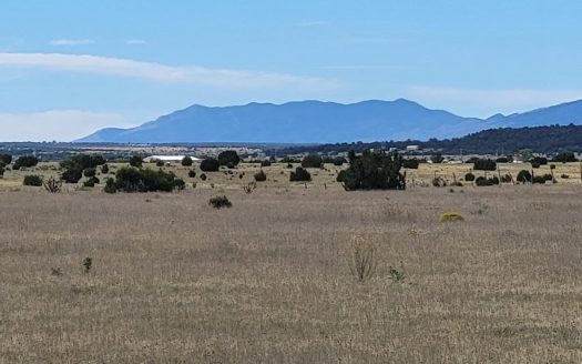 photo for a land for sale property for 30050-57830-Moriarty-New Mexico