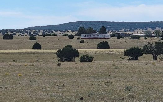photo for a land for sale property for 30050-57833-Moriarty-New Mexico