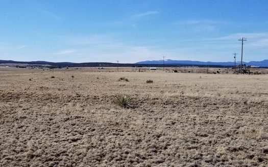 photo for a land for sale property for 30050-59259-Moriarty-New Mexico