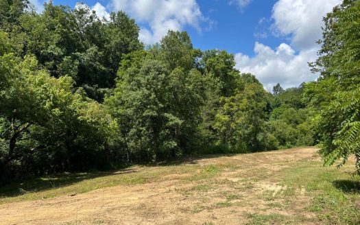 photo for a land for sale property for 41095-04266-Mosheim-Tennessee