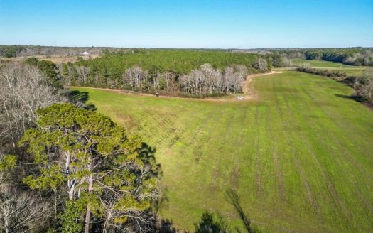 photo for a land for sale property for 23042-40822-Mount Olive-Mississippi