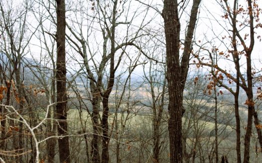 photo for a land for sale property for 03086-02361-Mountain View-Arkansas